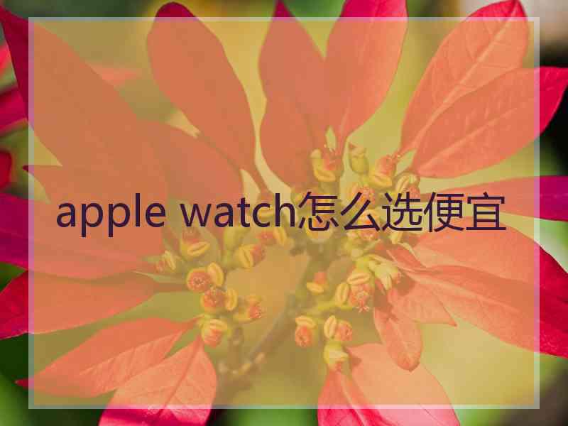 apple watch怎么选便宜