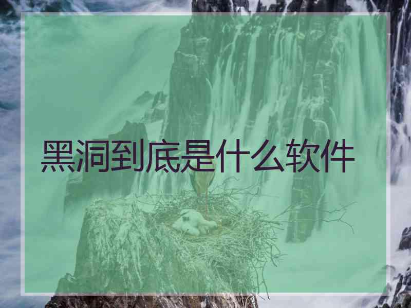 黑洞到底是什么软件
