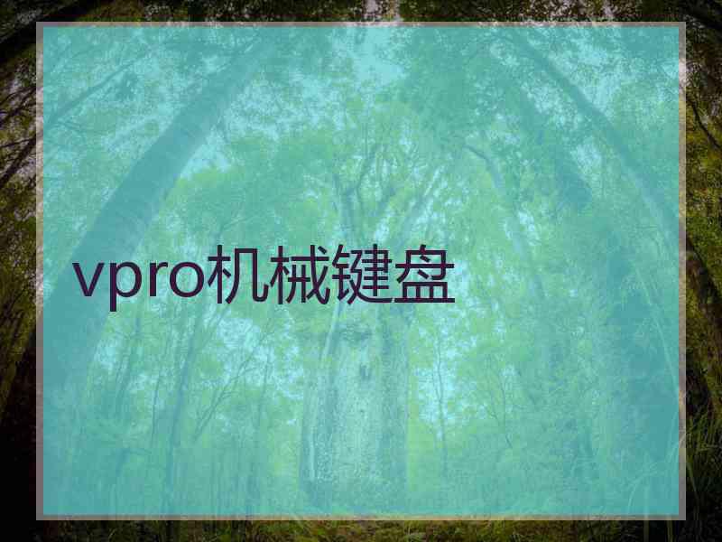 vpro机械键盘