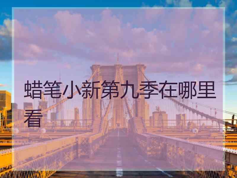 蜡笔小新第九季在哪里看