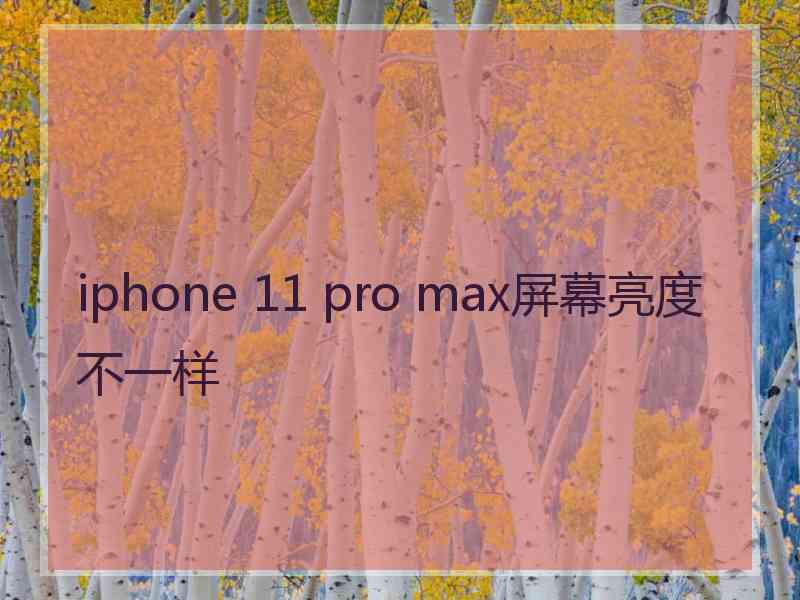 iphone 11 pro max屏幕亮度不一样