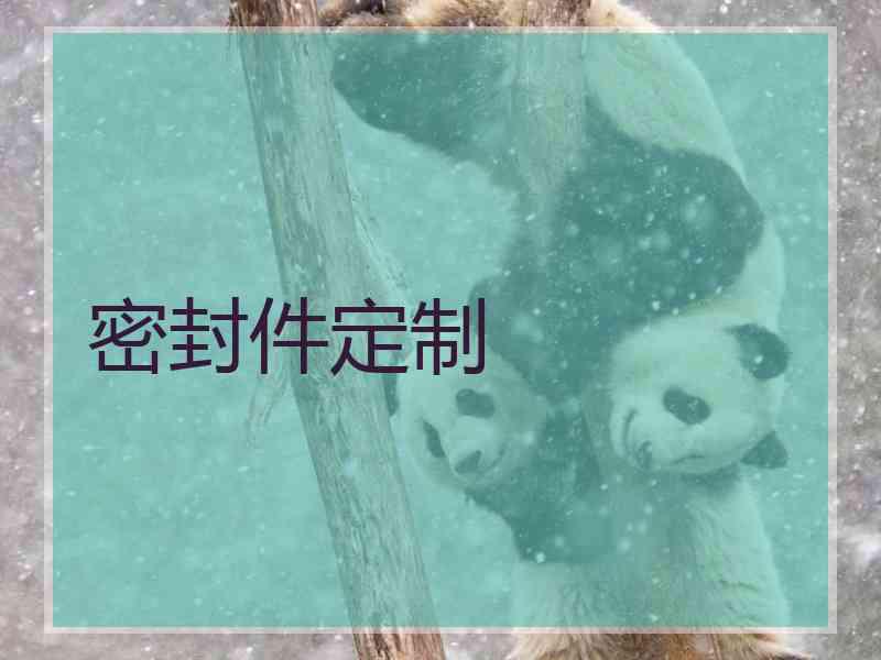密封件定制