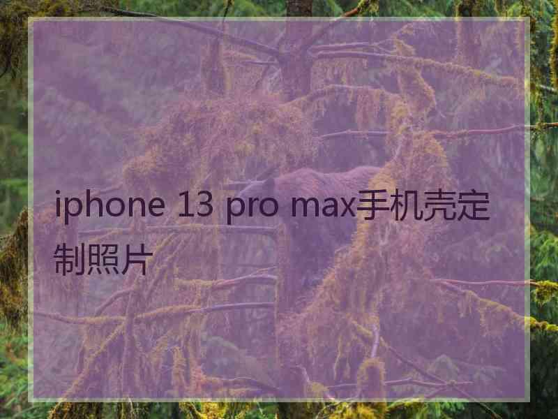 iphone 13 pro max手机壳定制照片