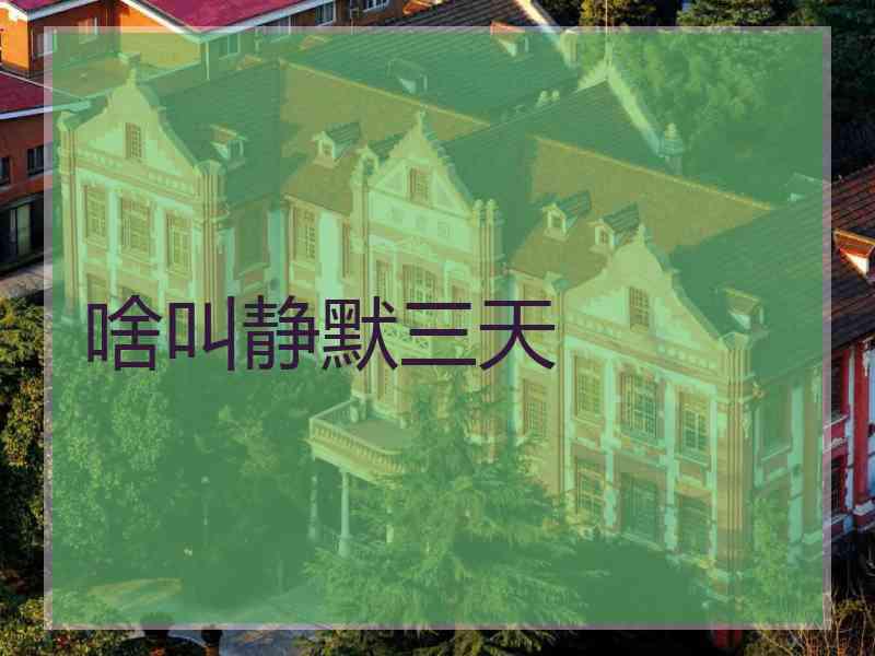 啥叫静默三天