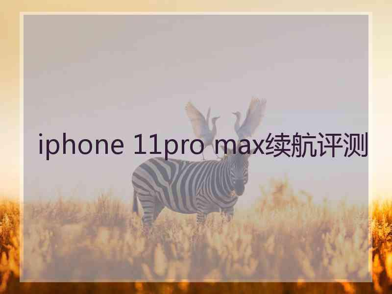 iphone 11pro max续航评测