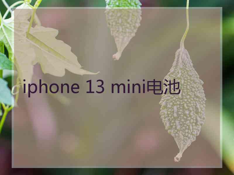 iphone 13 mini电池