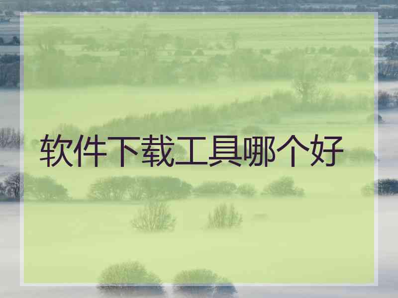 软件下载工具哪个好