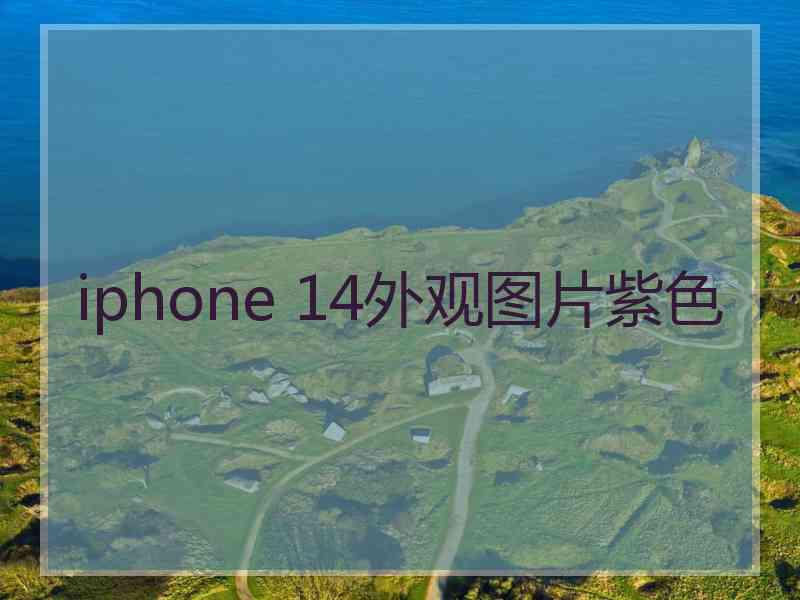 iphone 14外观图片紫色