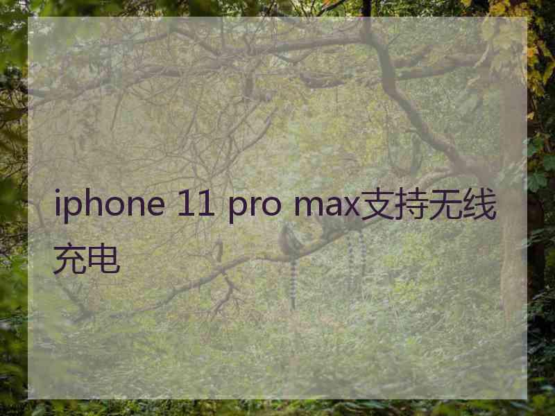 iphone 11 pro max支持无线充电