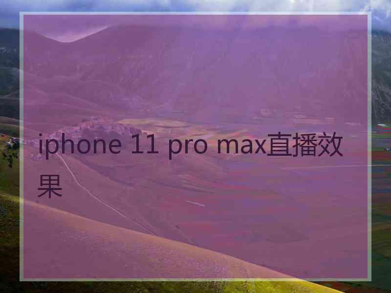 iphone 11 pro max直播效果