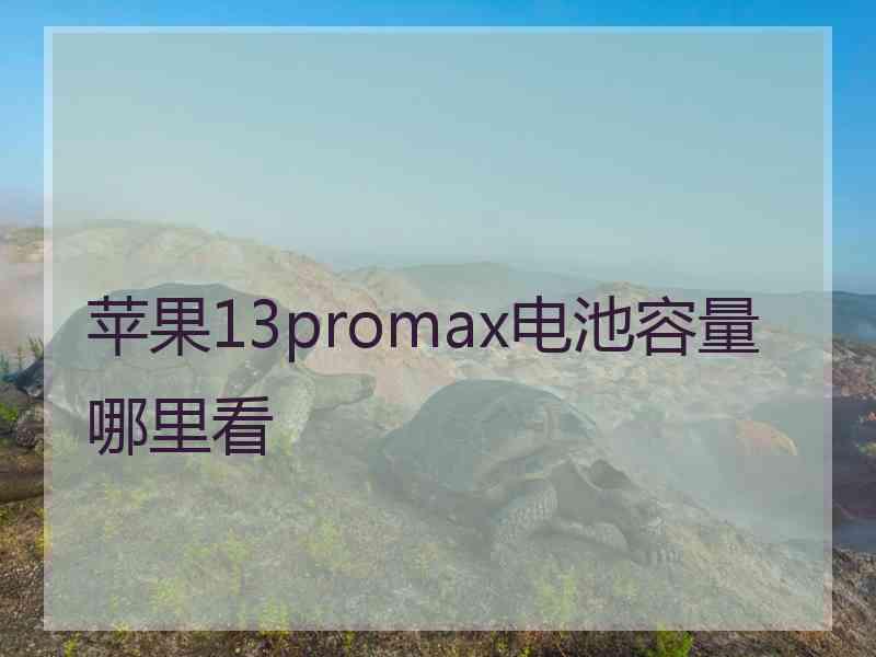 苹果13promax电池容量哪里看