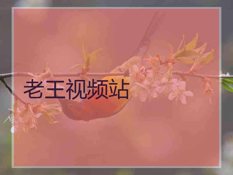 老王视频站