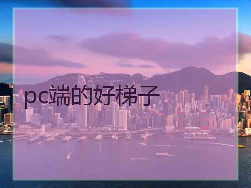 pc端的好梯子