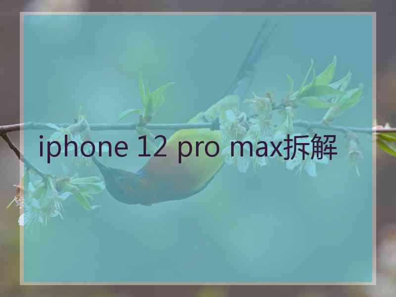 iphone 12 pro max拆解