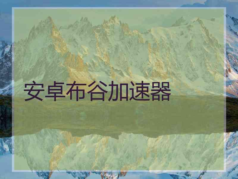 安卓布谷加速器