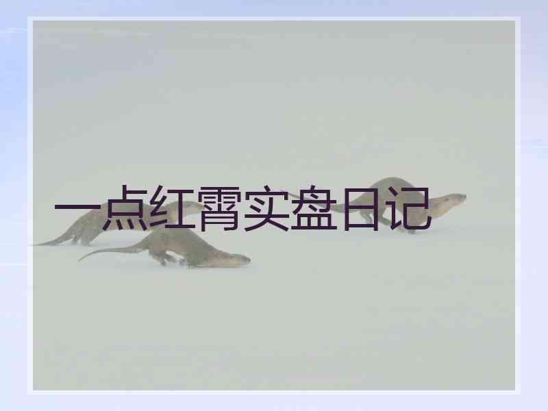 一点红霄实盘日记