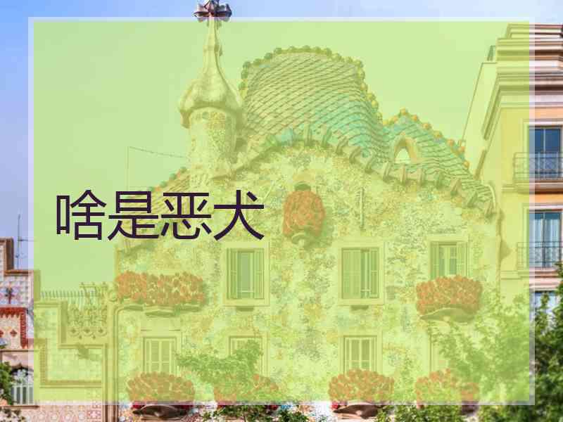 啥是恶犬