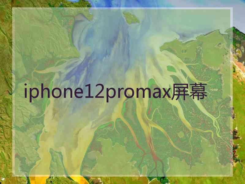 iphone12promax屏幕