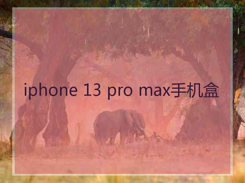 iphone 13 pro max手机盒