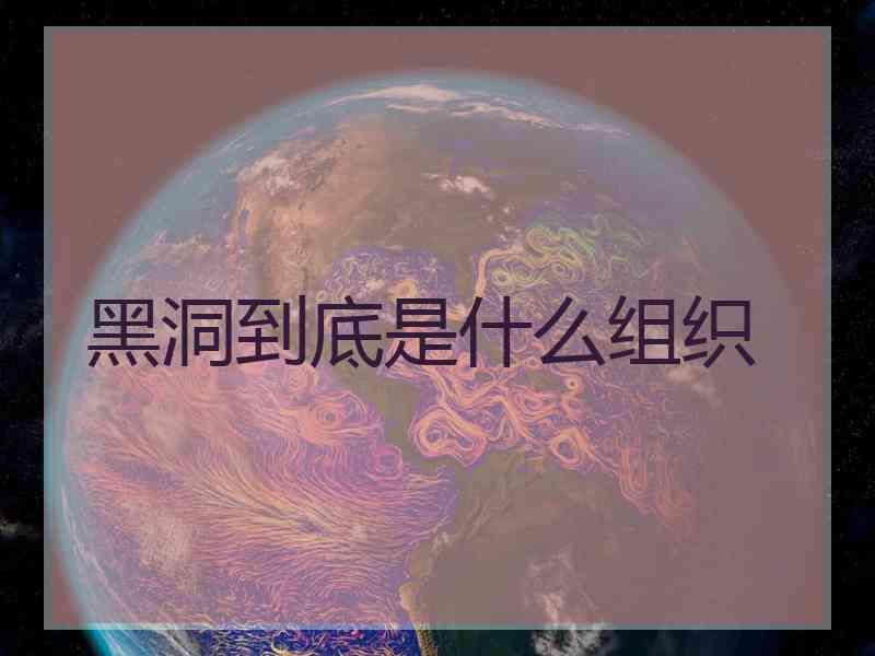 黑洞到底是什么组织