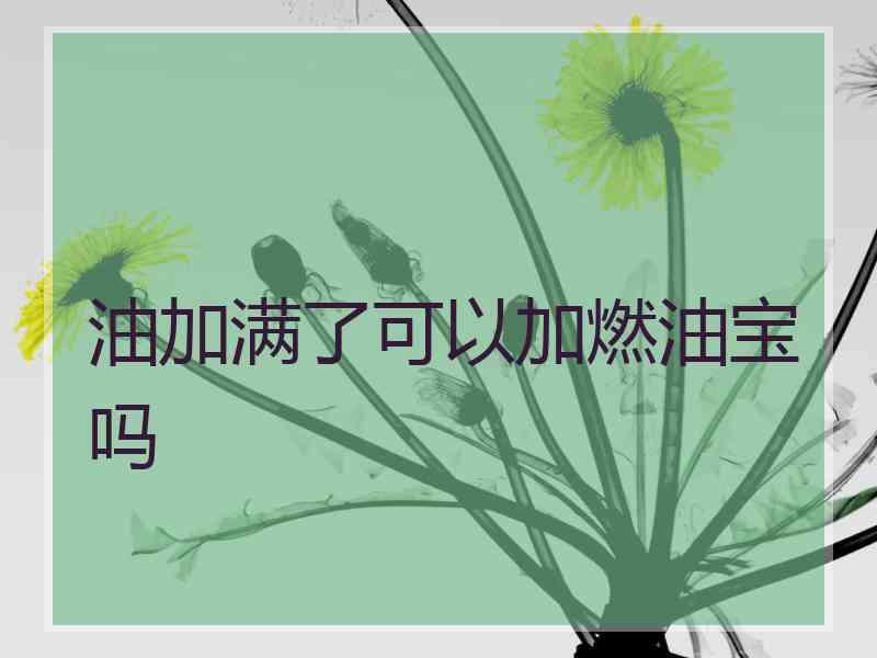 油加满了可以加燃油宝吗