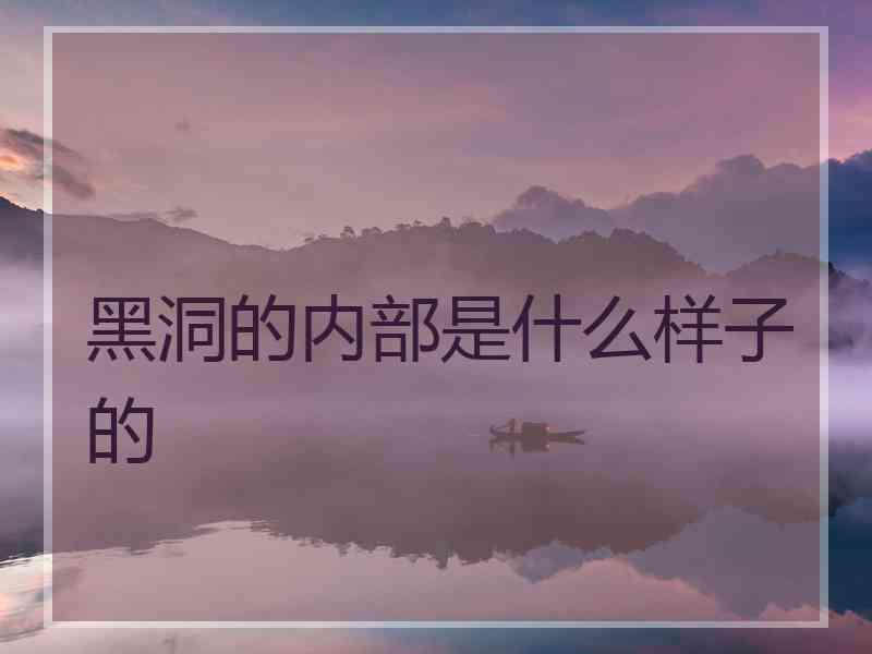 黑洞的内部是什么样子的