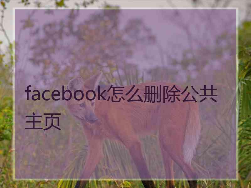 facebook怎么删除公共主页