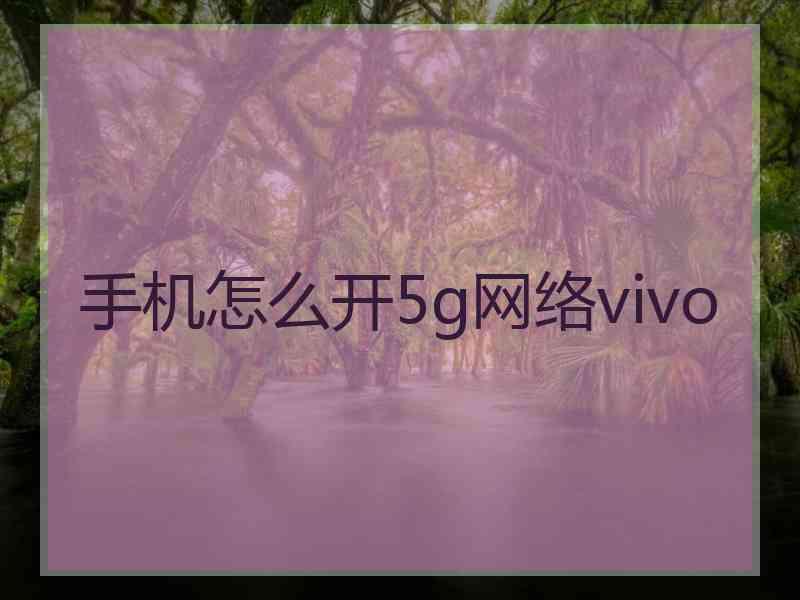 手机怎么开5g网络vivo
