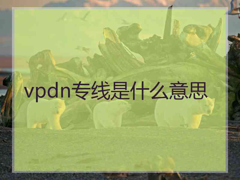 vpdn专线是什么意思