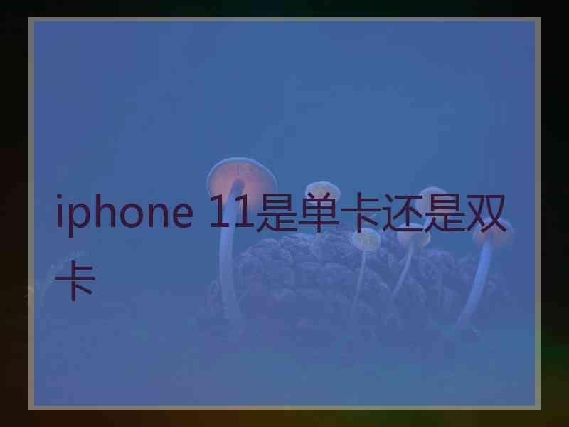 iphone 11是单卡还是双卡