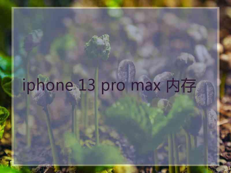 iphone 13 pro max 内存