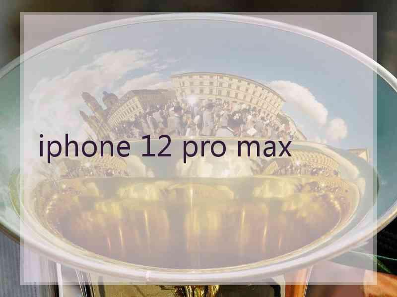 iphone 12 pro max