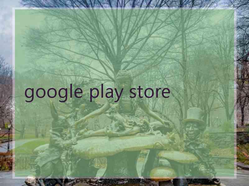 google play store 