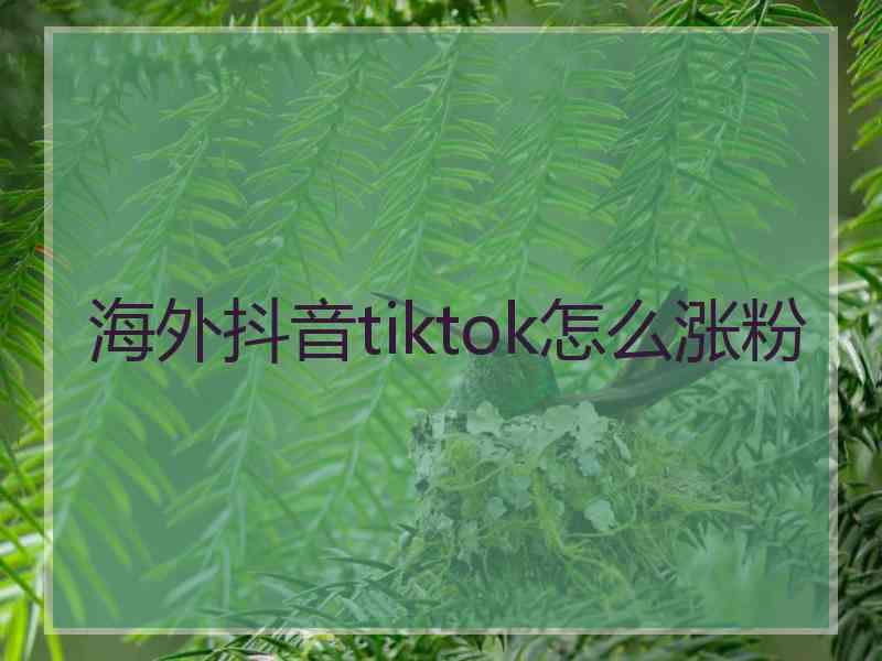 海外抖音tiktok怎么涨粉