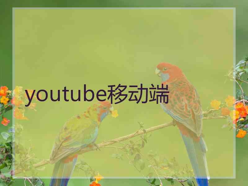 youtube移动端
