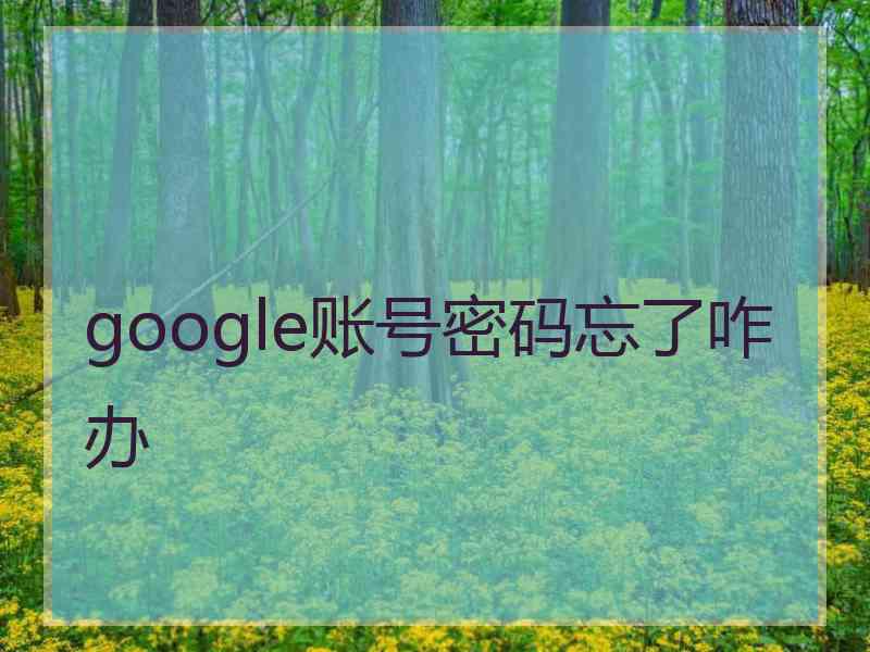 google账号密码忘了咋办