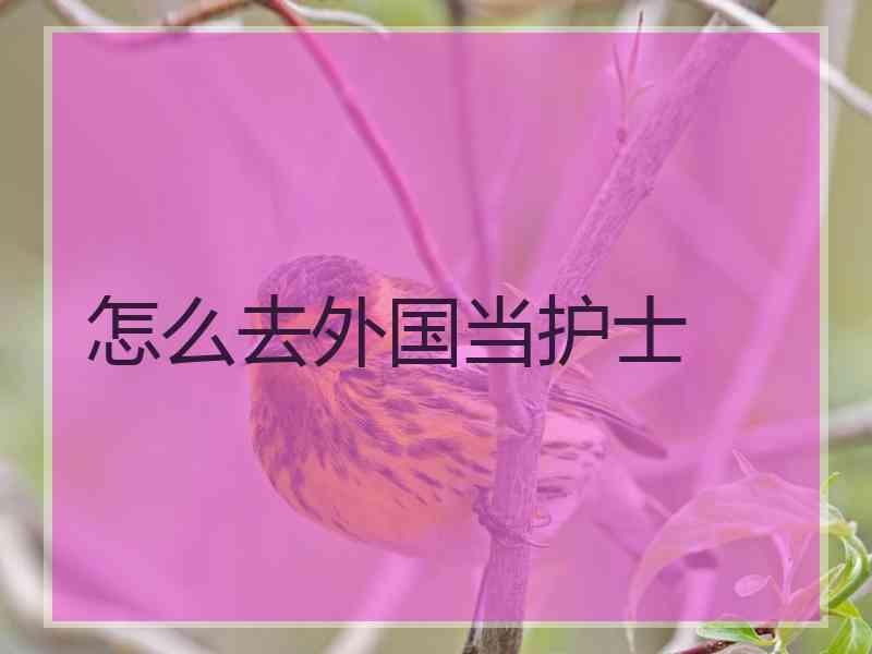 怎么去外国当护士
