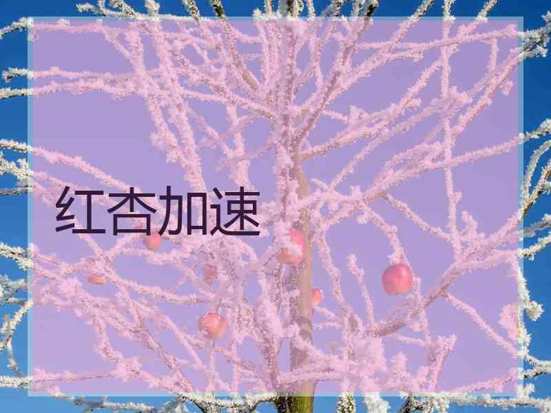 红杏加速
