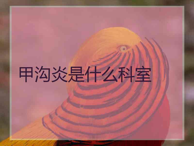 甲沟炎是什么科室
