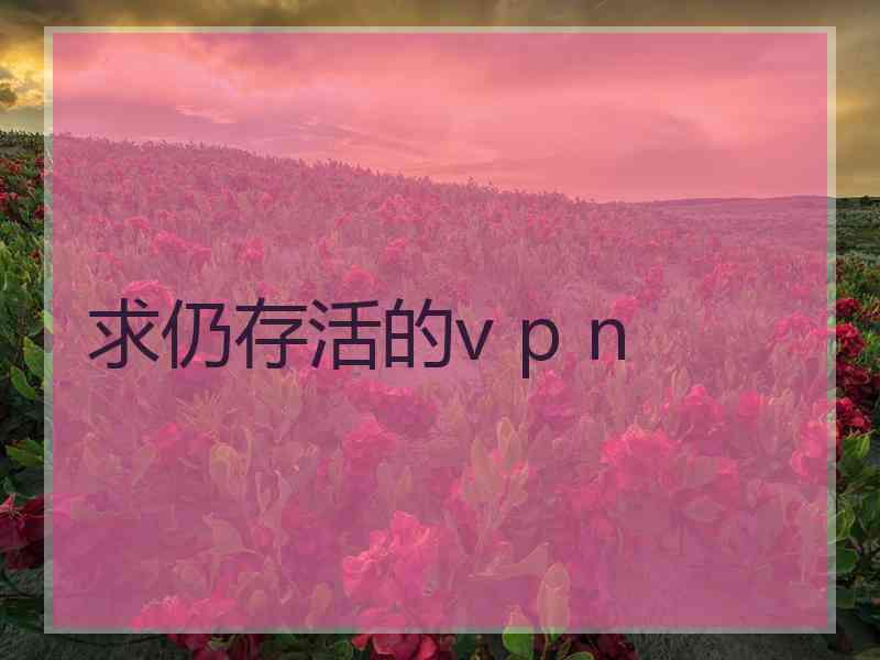 求仍存活的v p n
