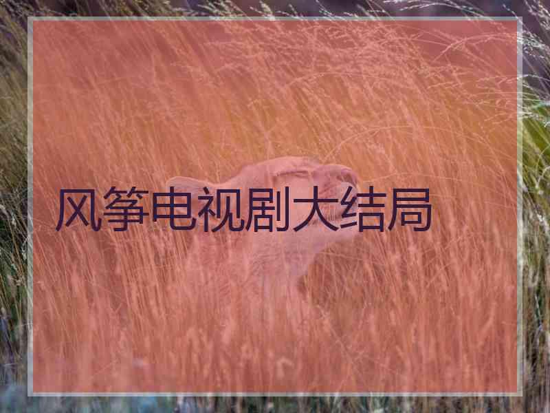 风筝电视剧大结局