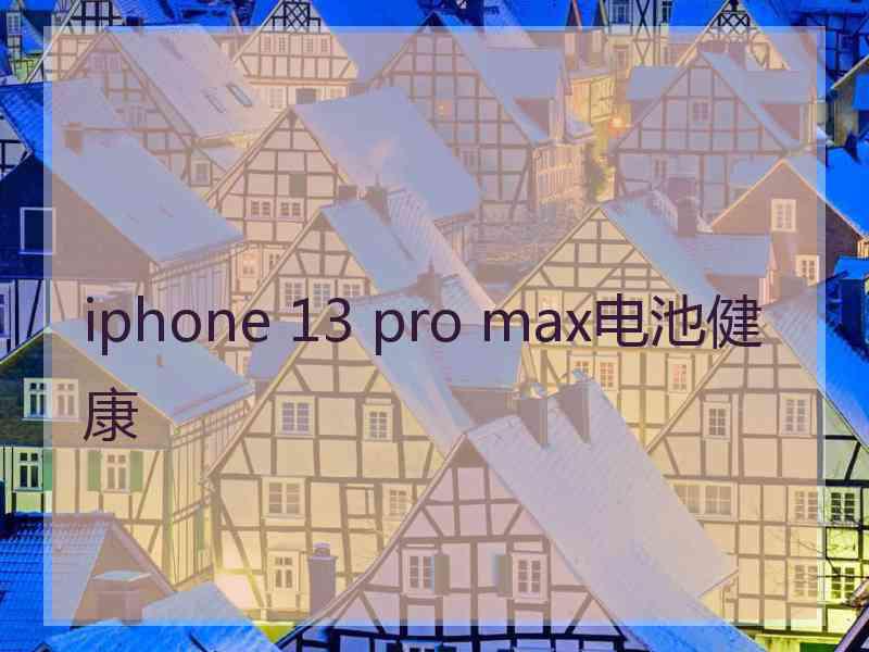 iphone 13 pro max电池健康