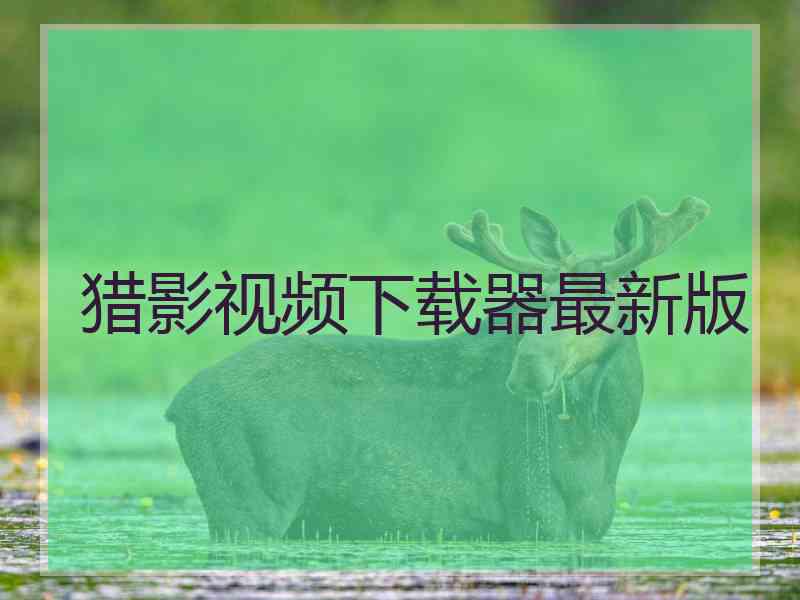 猎影视频下载器最新版