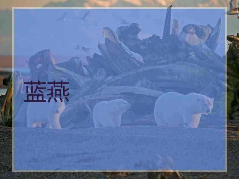 蓝燕