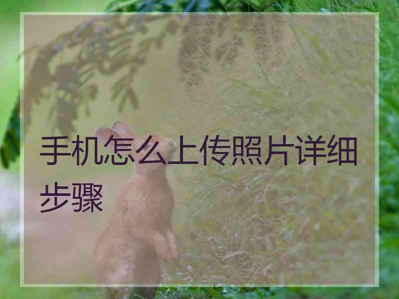 手机怎么上传照片详细步骤