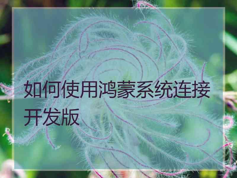 如何使用鸿蒙系统连接开发版