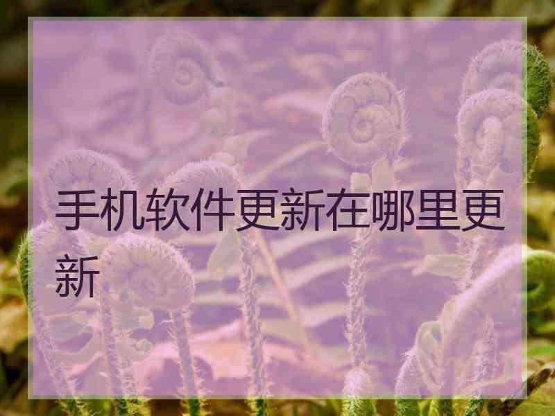手机软件更新在哪里更新