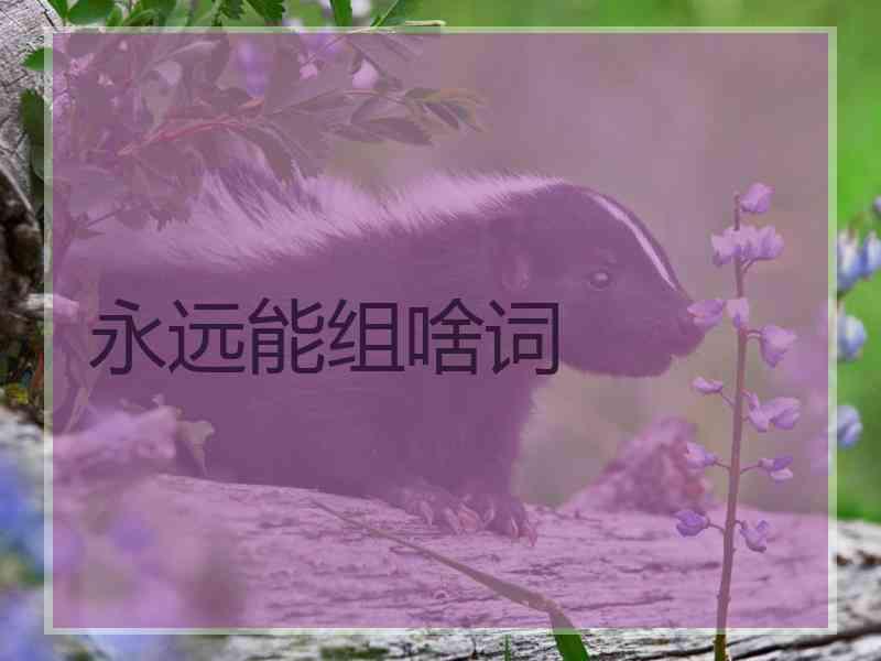 永远能组啥词