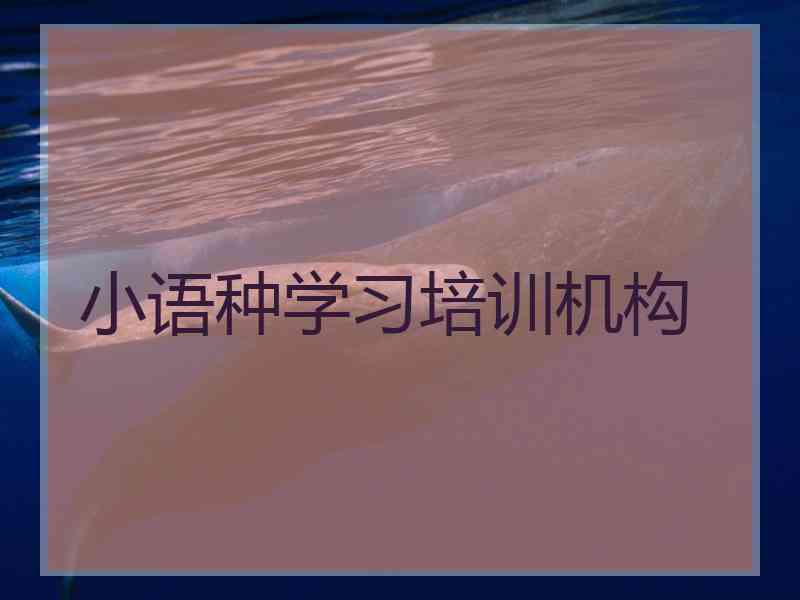 小语种学习培训机构