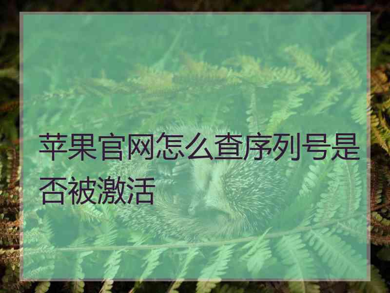 苹果官网怎么查序列号是否被激活